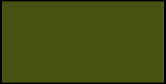 Scoonews Teacher Warriors Award 2026 emblem